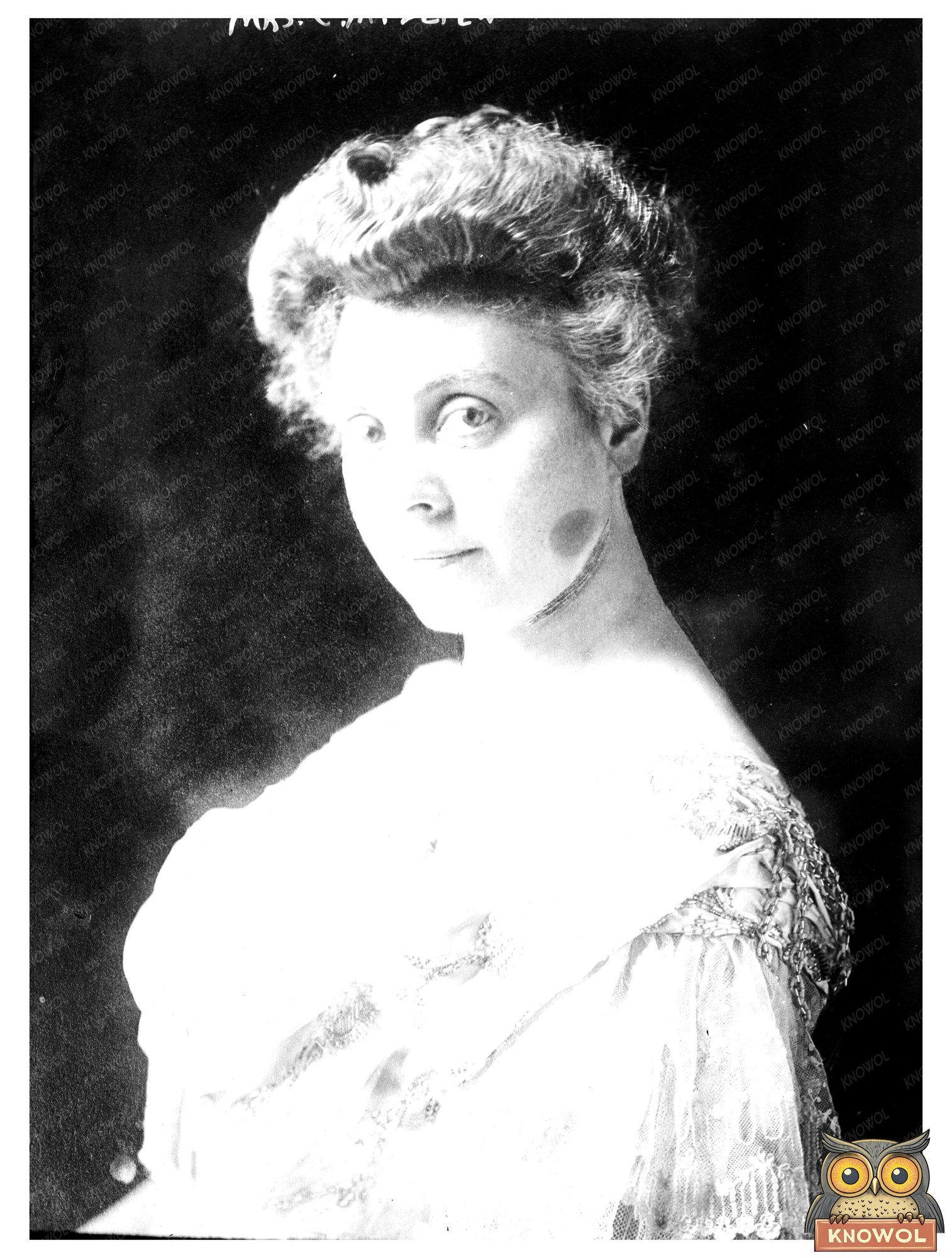 Elegant Portrait of a Genteel Edwardian Woman