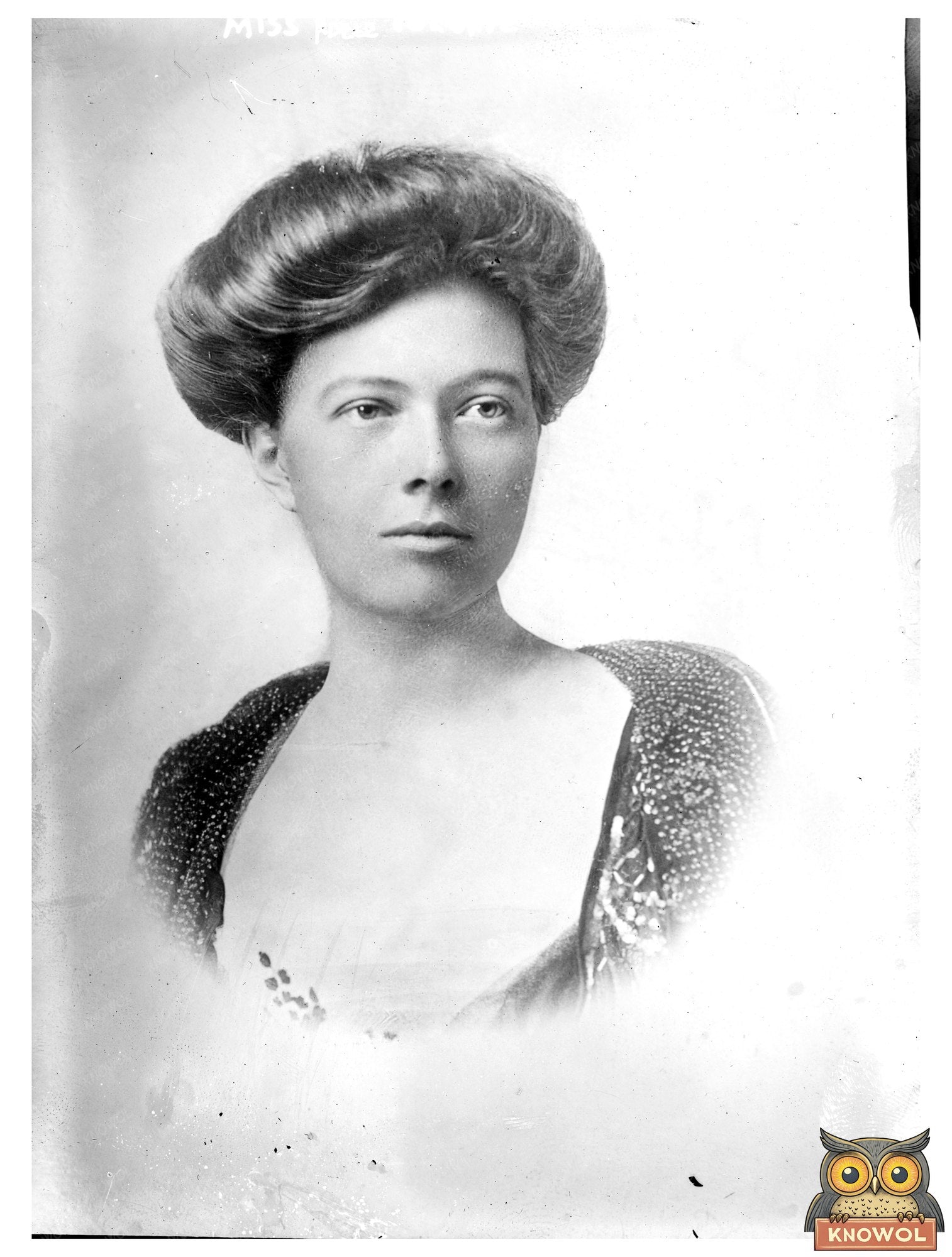 Elegant Portrait of Early 20th Century Socialite