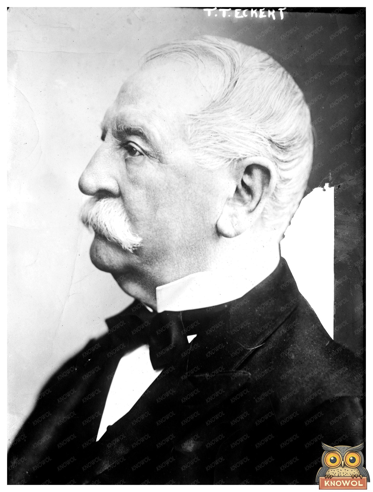 Influential Pioneer Shaping Early 20th Century America