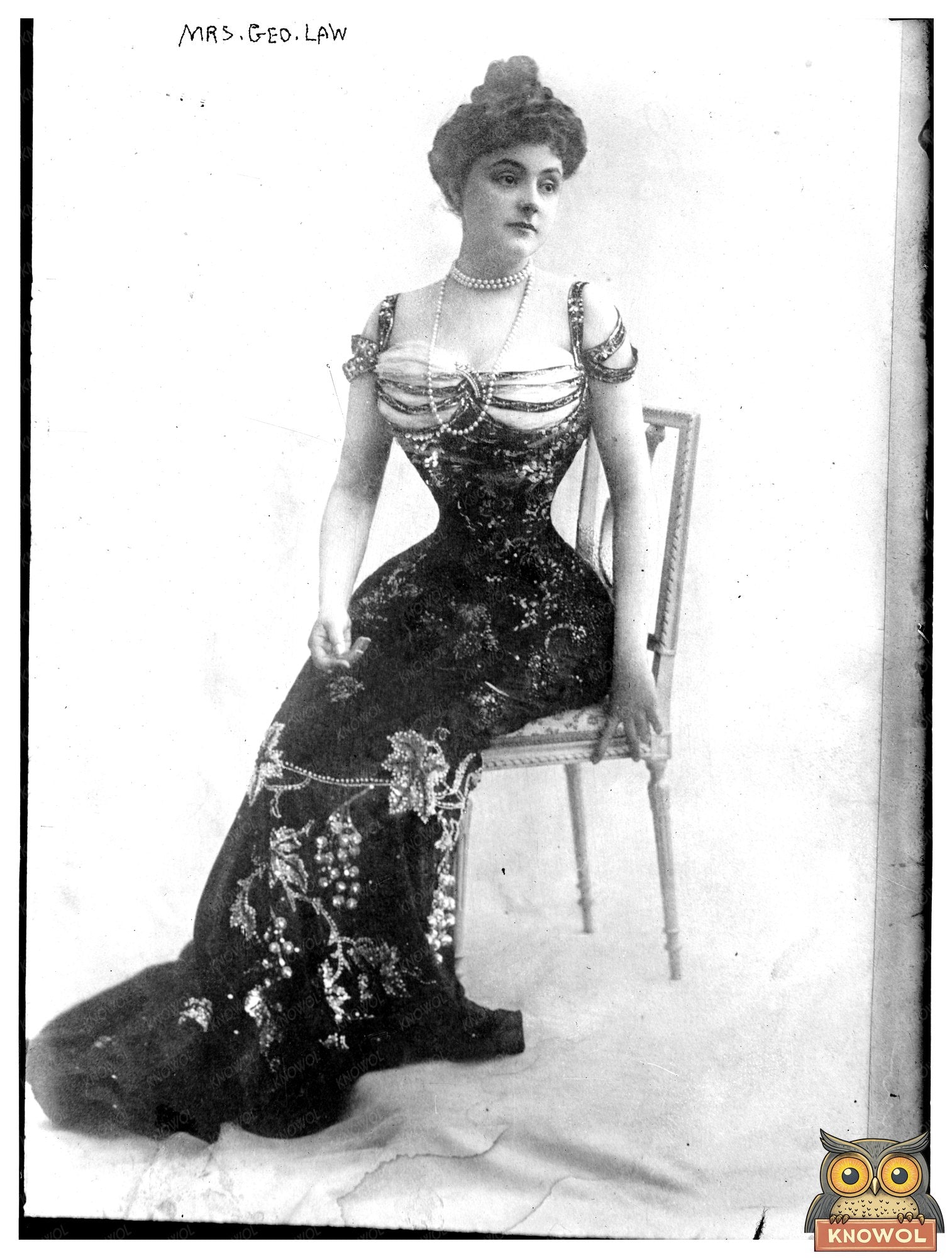 Elegant Portrait of a Trailblazing American Woman