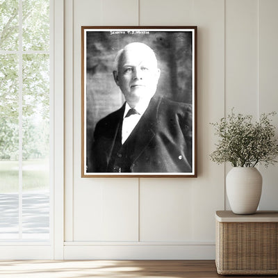 Virginia Senator T.S. Martin: Early 20th Century Legacy