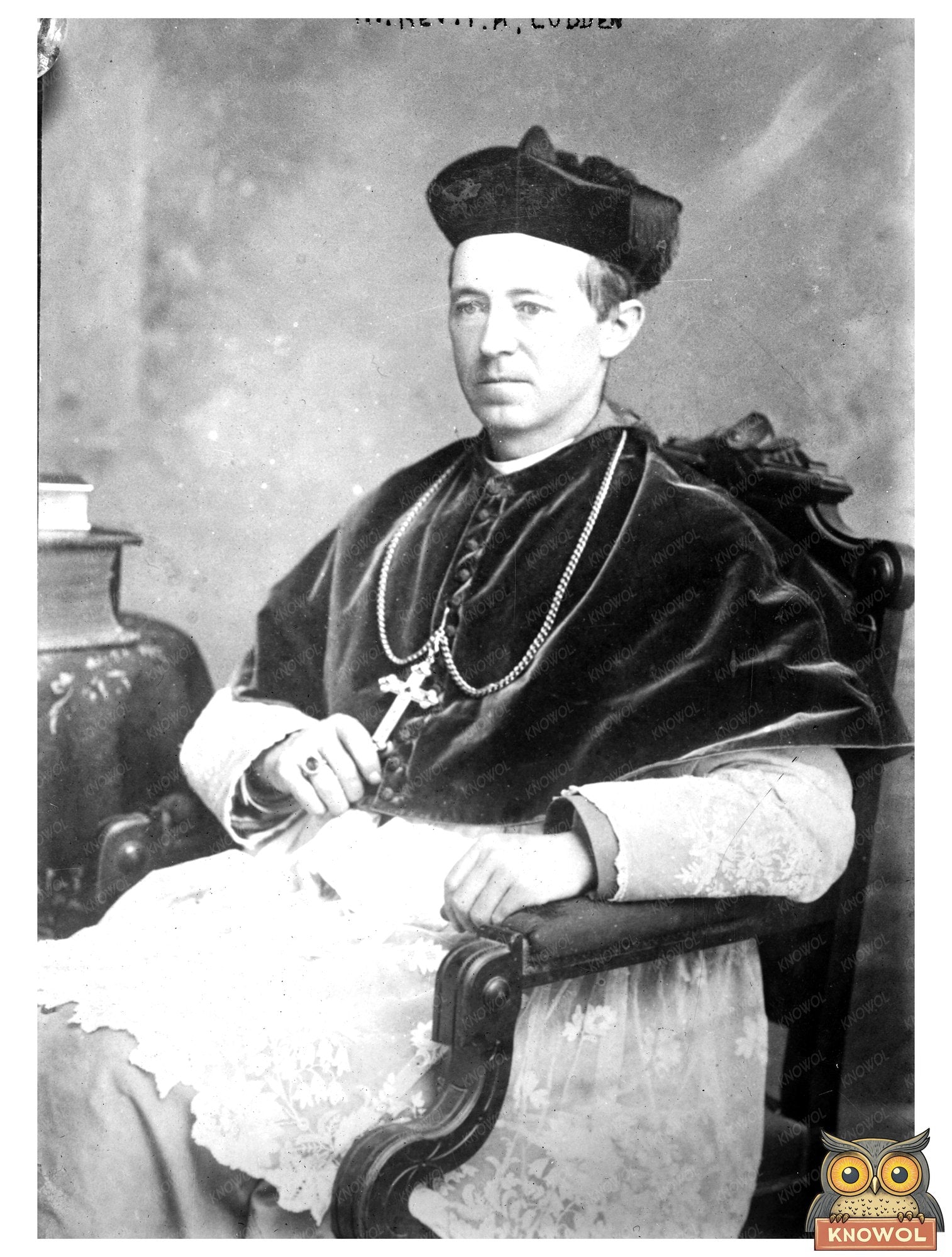 Influential Episcopal Bishop P.A. Ludden Portrait