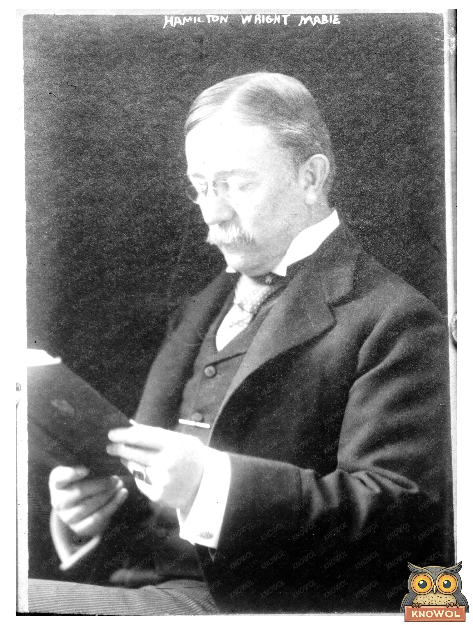 Vintage Portrait of a 19th Century Literary Luminary
