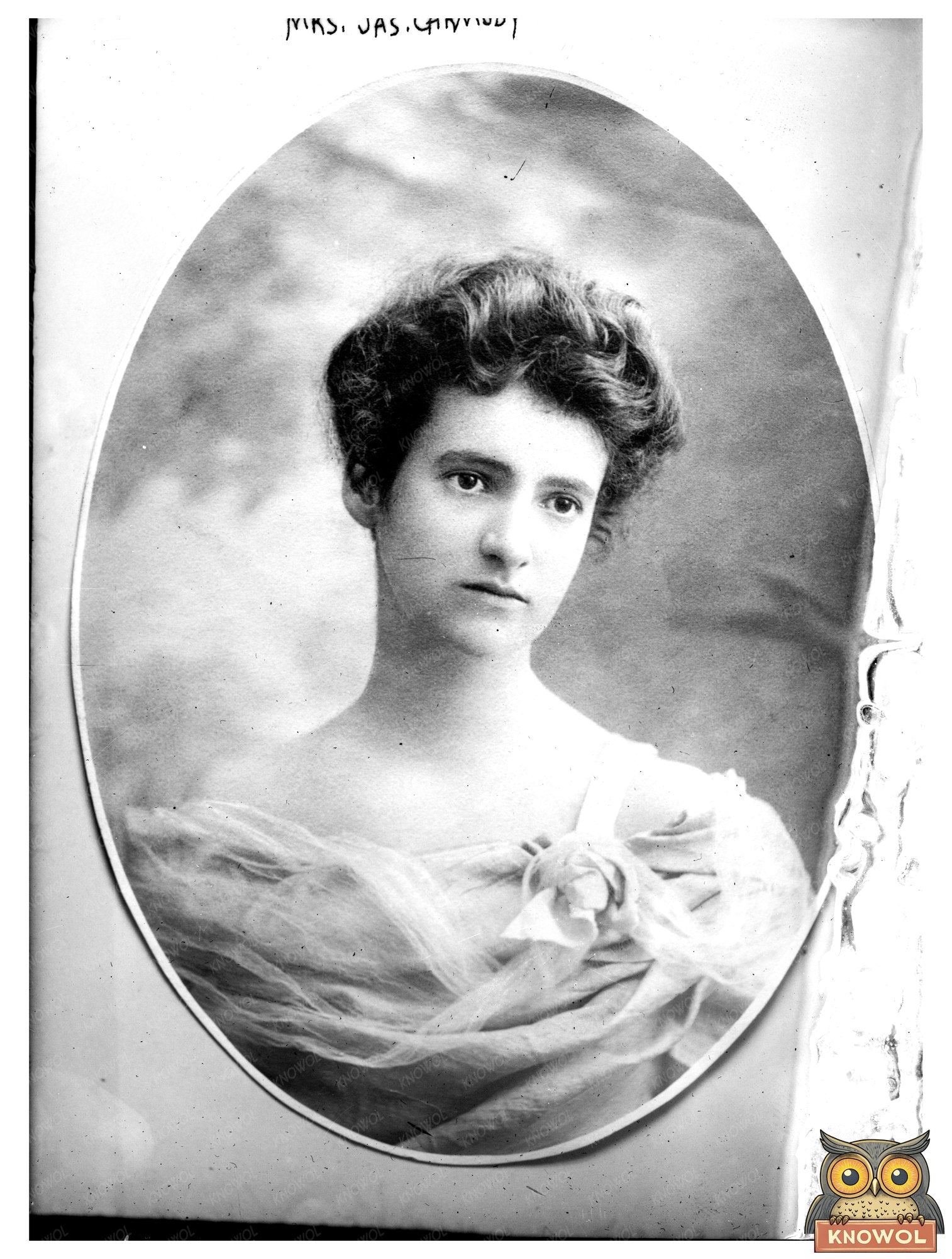 Elegant Portrait of Early 20th Century Lady