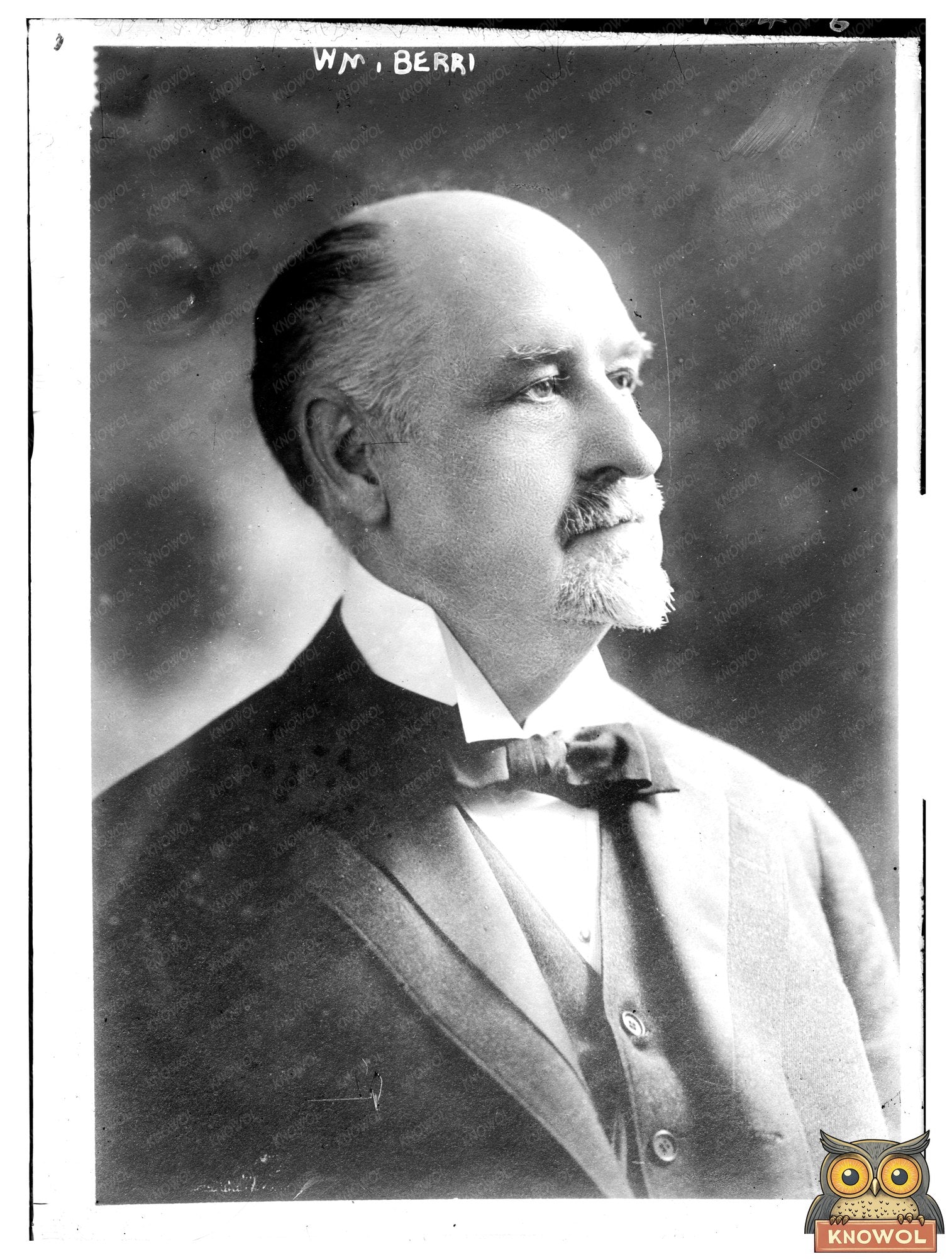 Early 20th-Century Business Pioneer Portrait