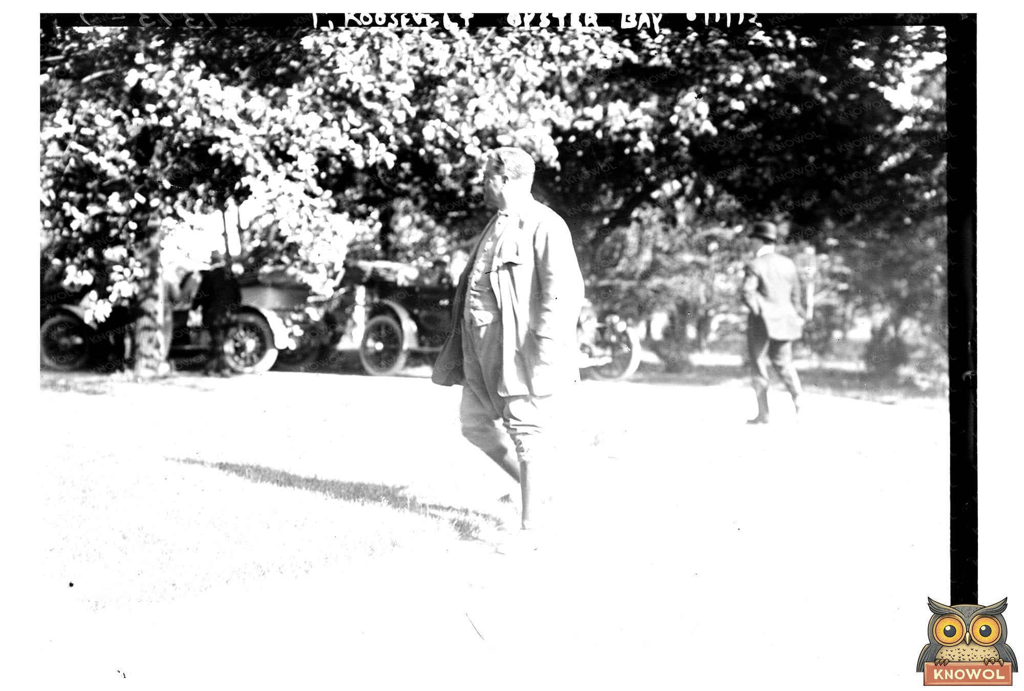 Scenic Oyster Bay: A Glimpse into Roosevelts Retreat