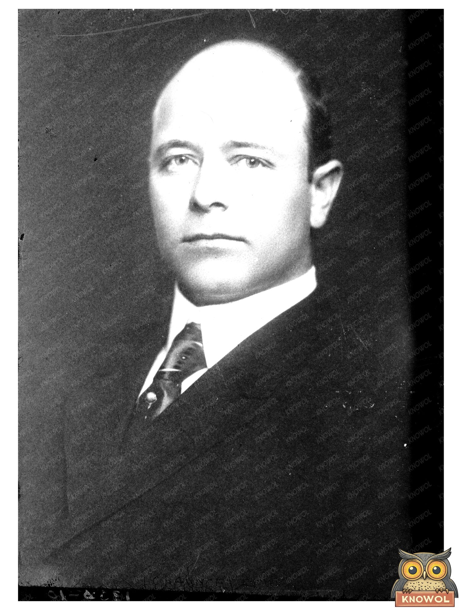 Influential Early 20th Century Business Leader