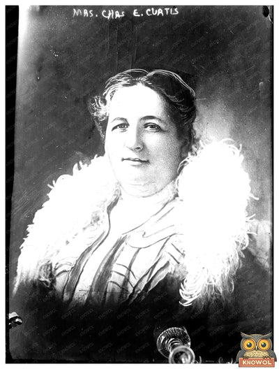 Elegant Portrait of Early 20th Century Socialite