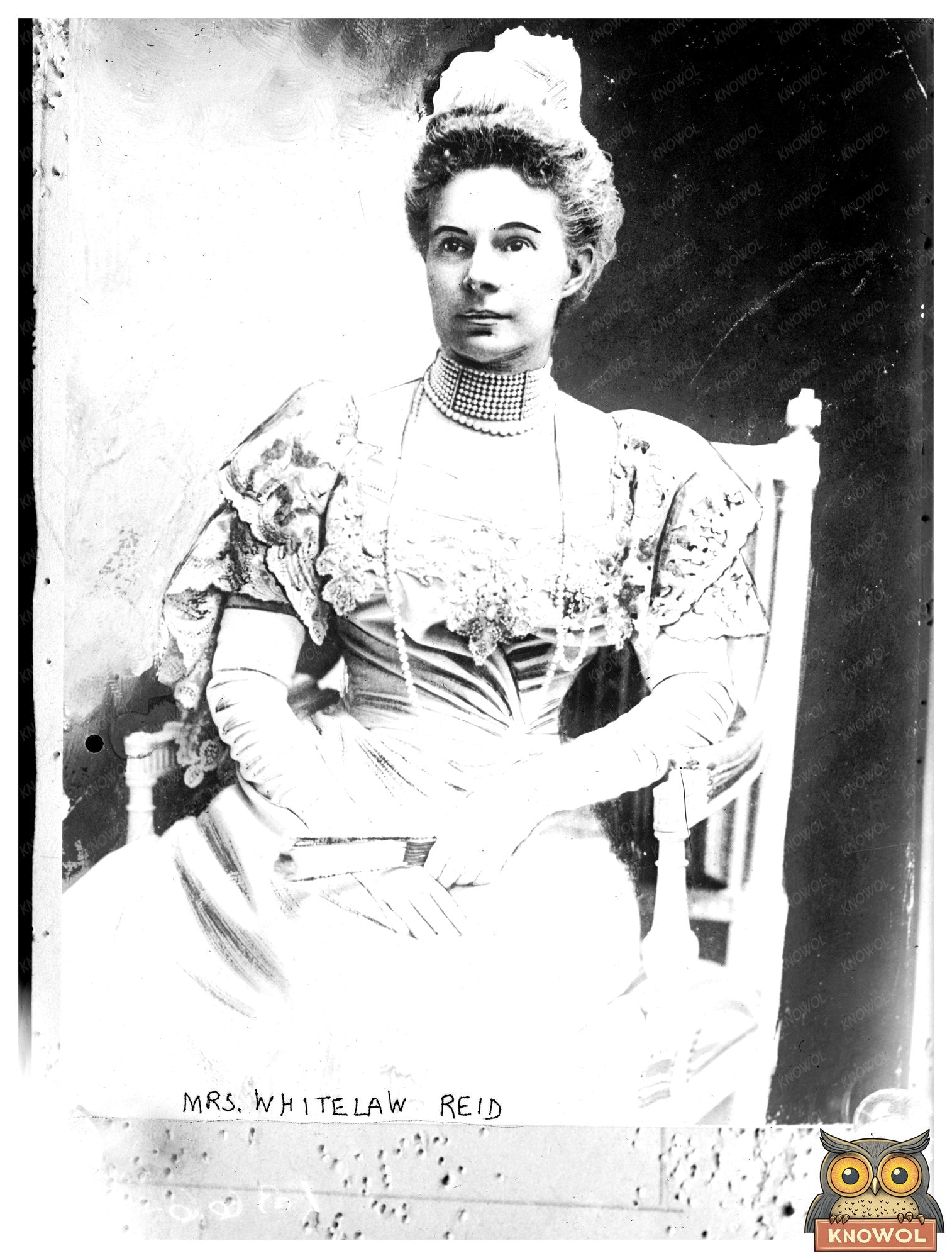 Elegant Portrait of a Gilded Age Socialite