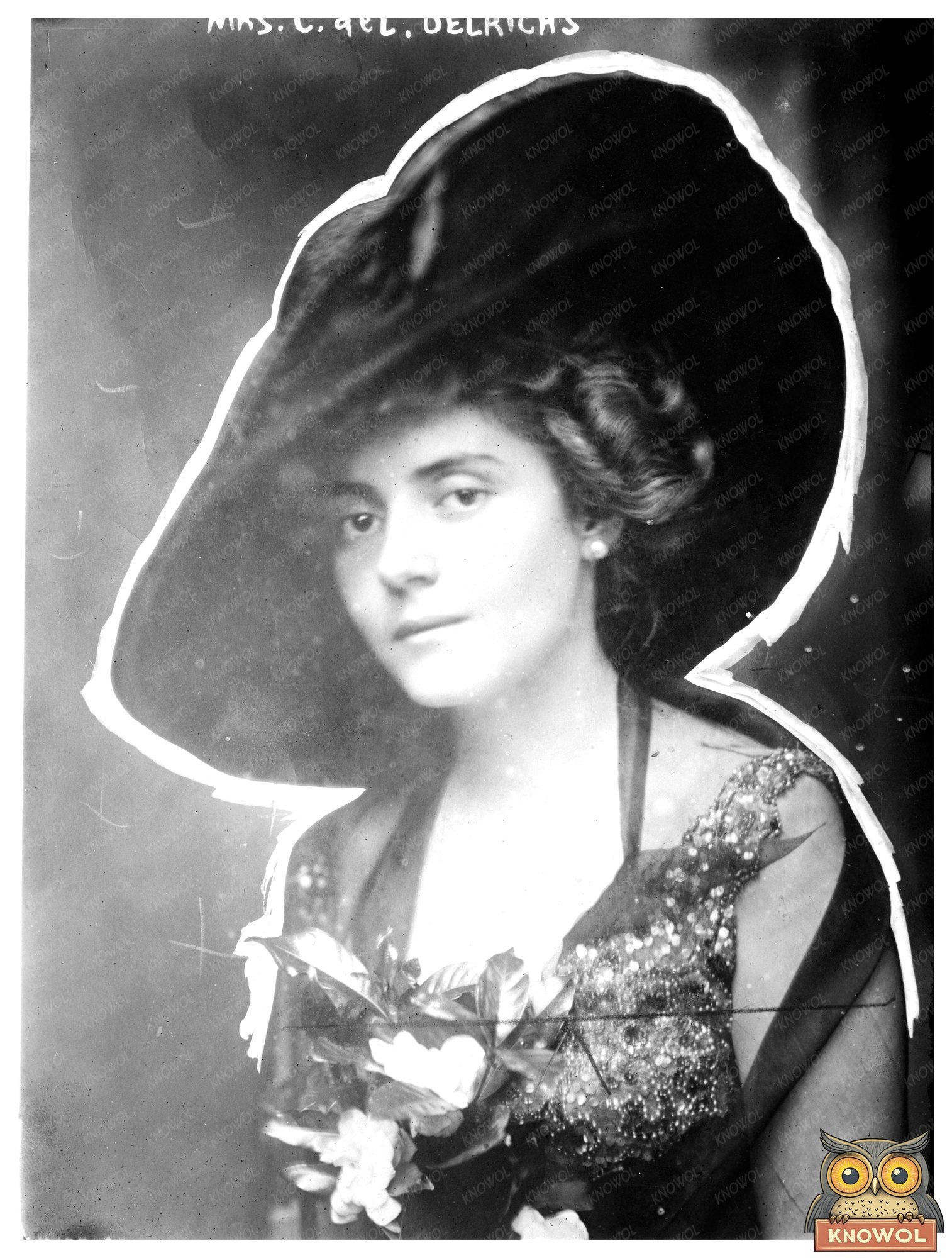 Elegant Early 20th Century Socialite Portrait