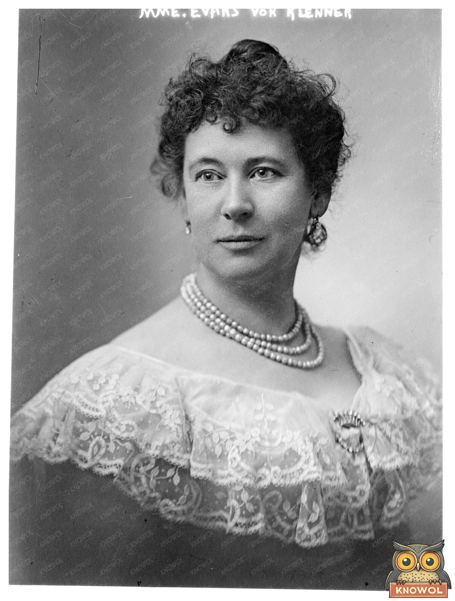 Elegant Portrait of a 20th Century Society Matron