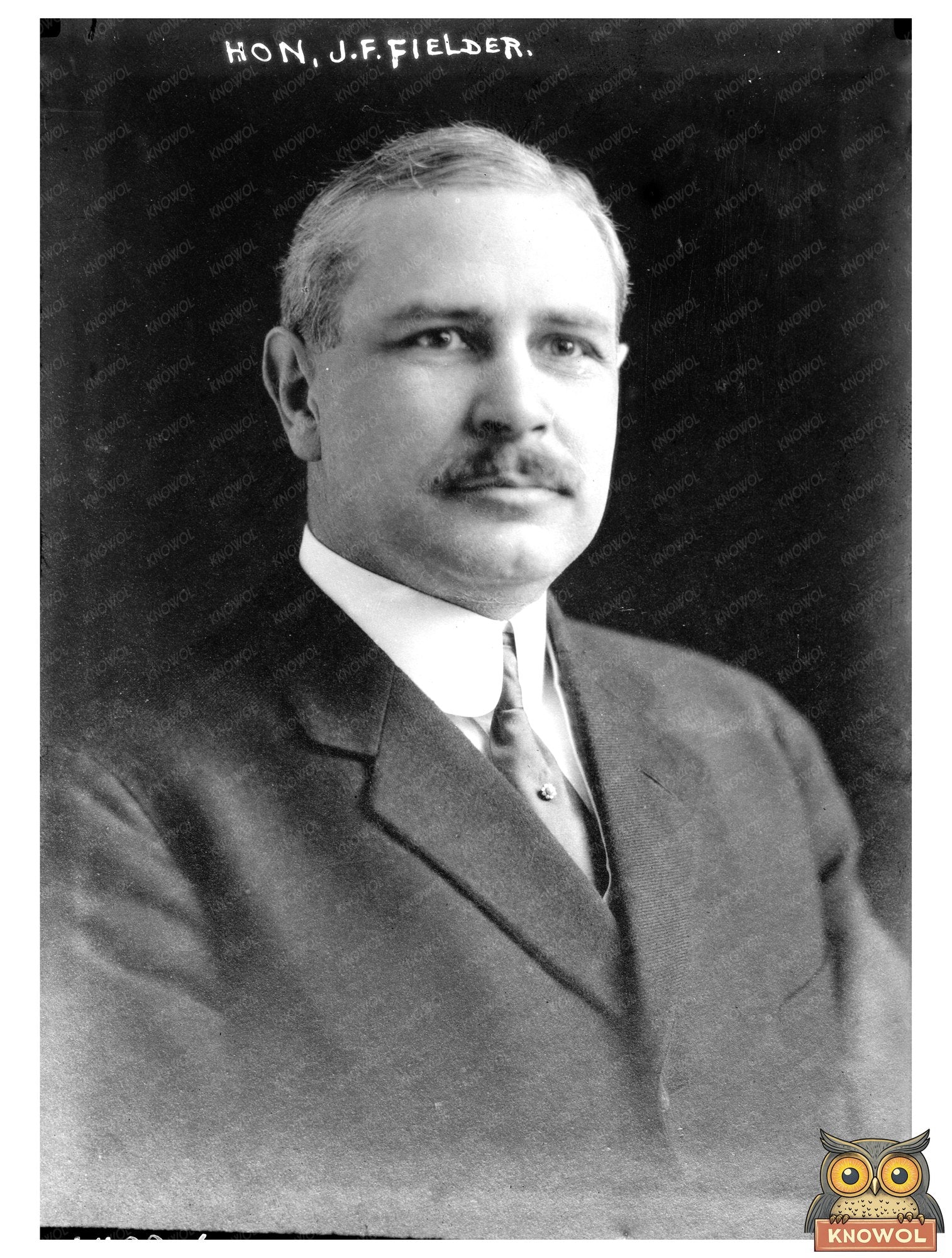 Vintage Portrait of Early 20th Century Politician