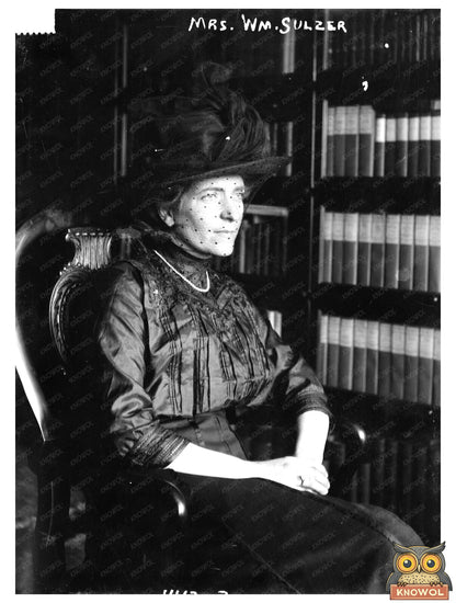 Elegant Portrait of Early 20th Century Political Figure