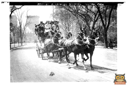 Harriet Alexanders Joyride Through Central Park