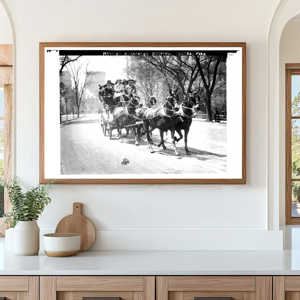 Harriet Alexanders Joyride Through Central Park