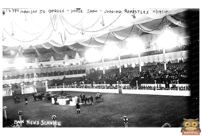 1910 Madison Square Garden Horse Show Judging Moment