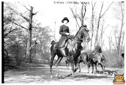 Leisurely Horseback Ride Through Central Park