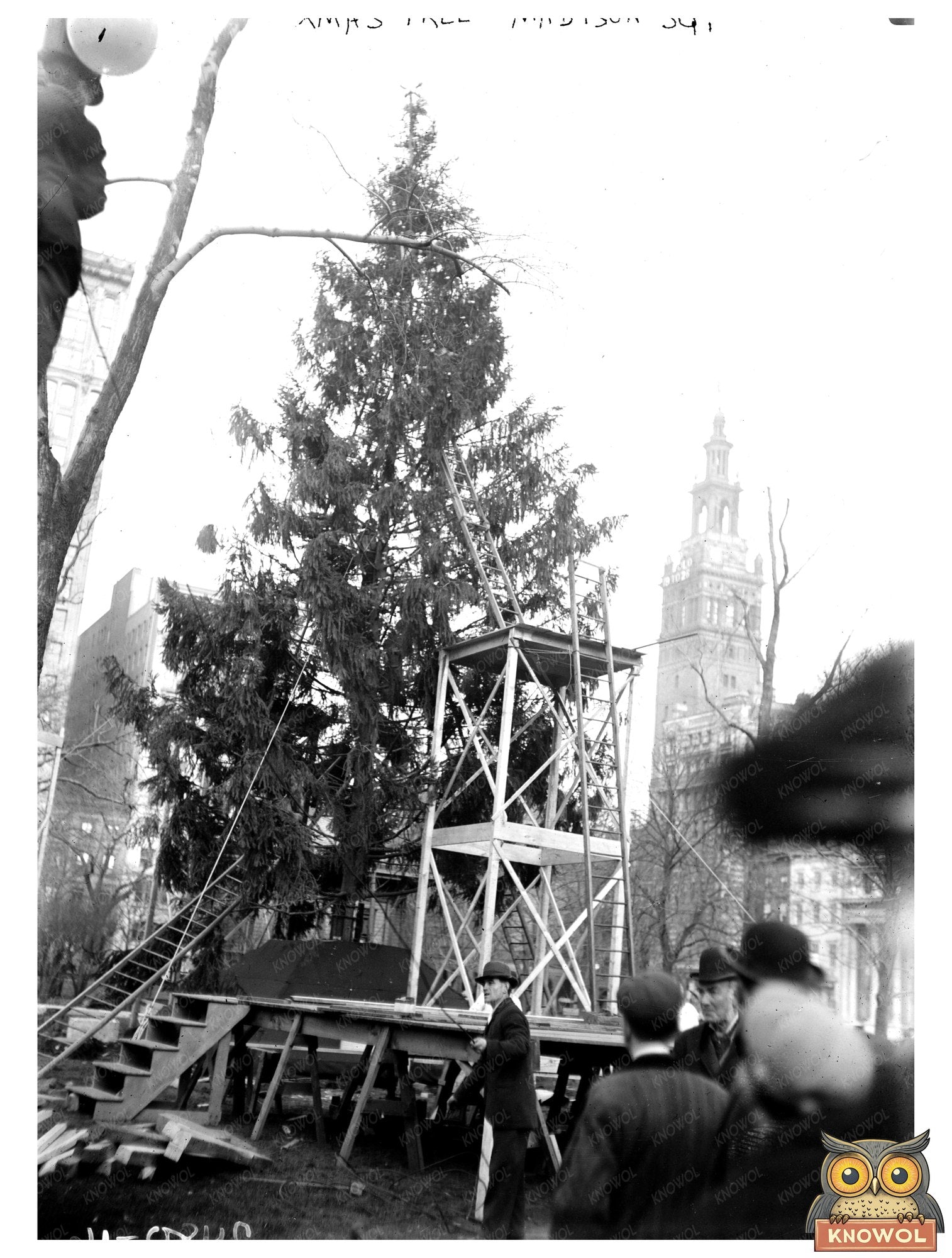 Festive Christmas Tree in Madison Square, NYC Circa 1910