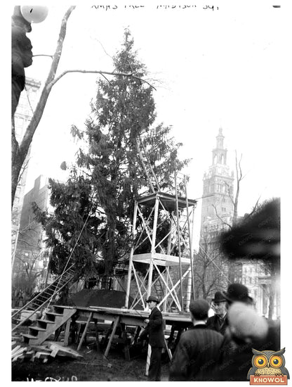 Festive Christmas Tree in Madison Square, NYC Circa 1910