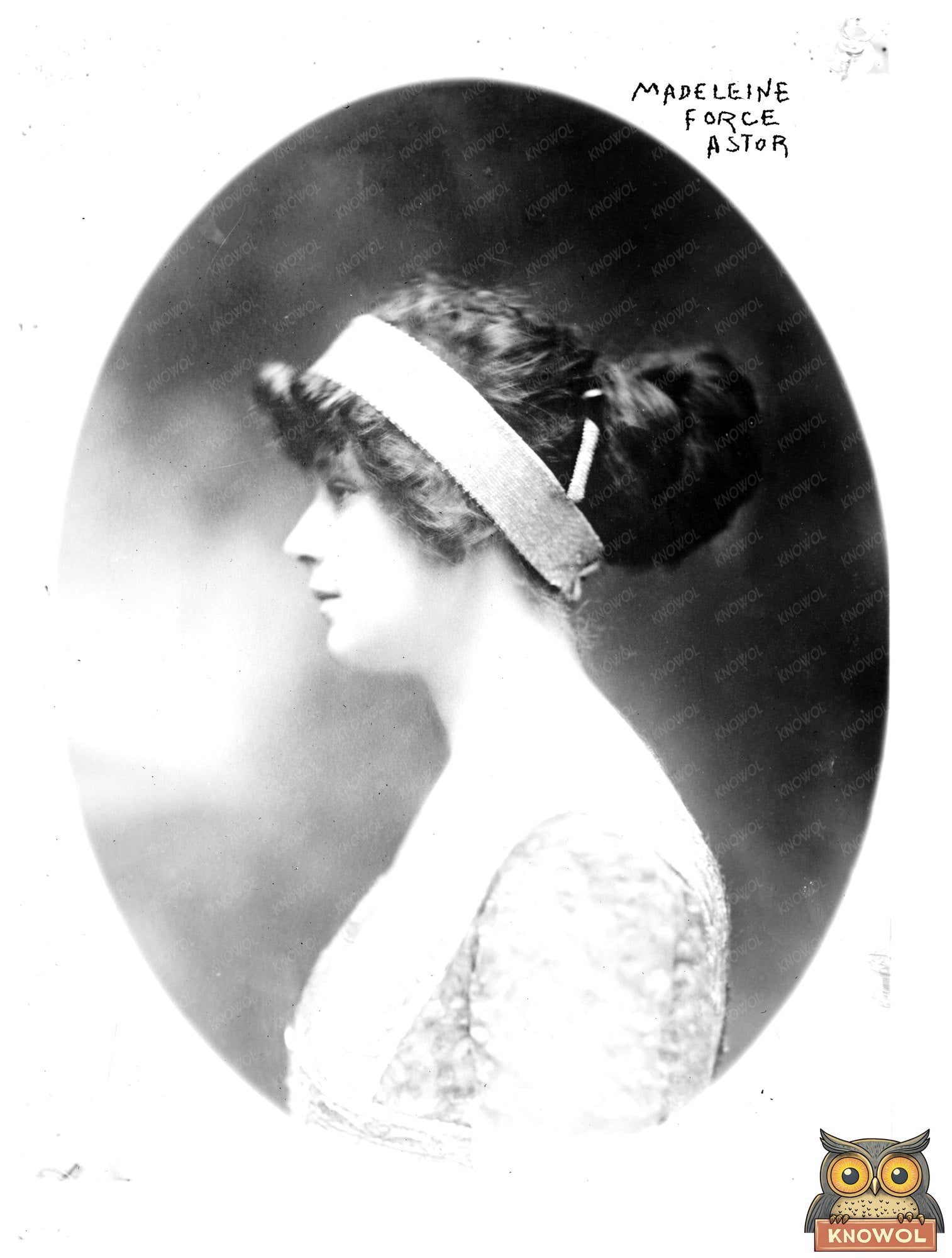 Elegant Portrait of Early 20th Century Socialite