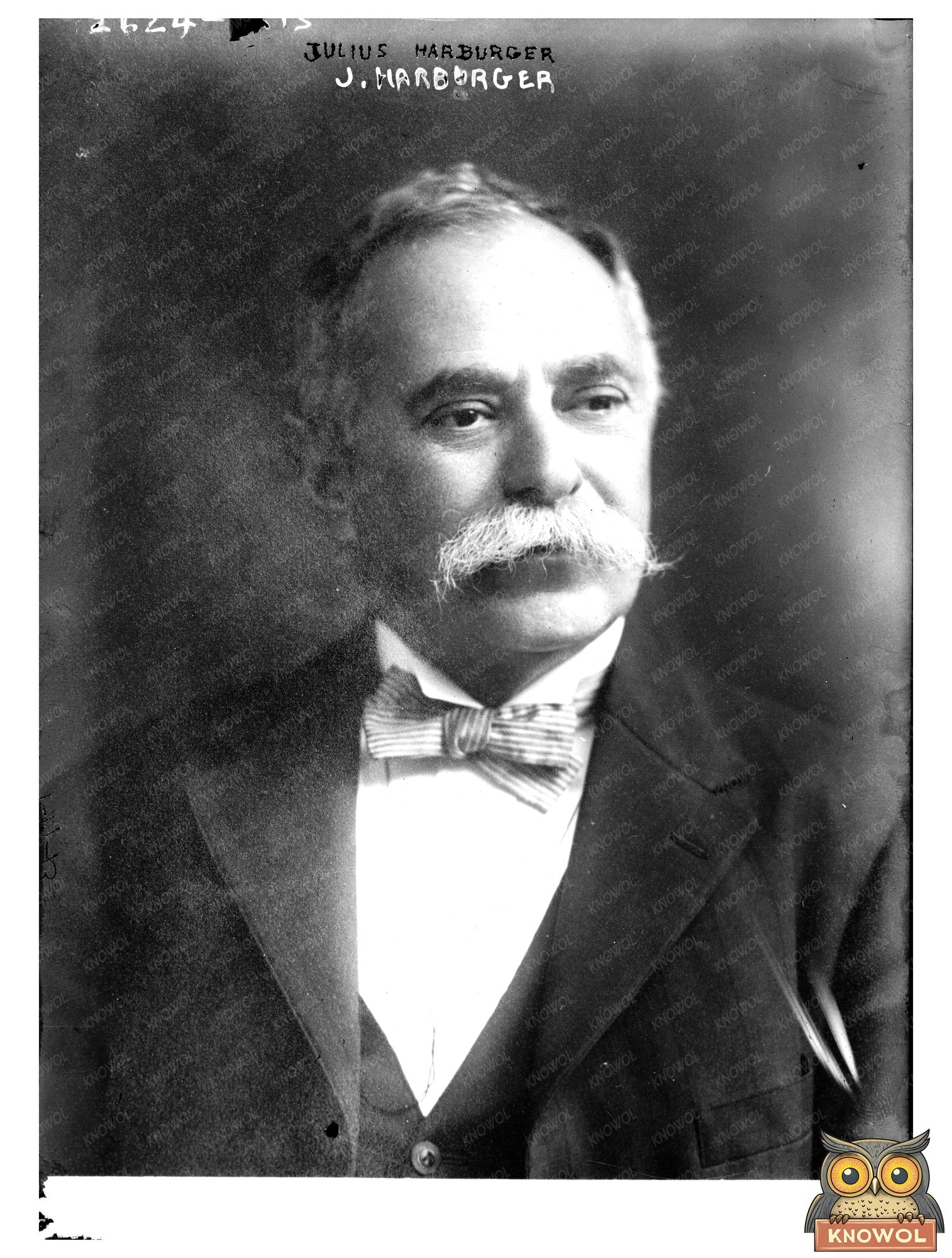 Julius Harburger: Icon of Early 20th Century Commerce