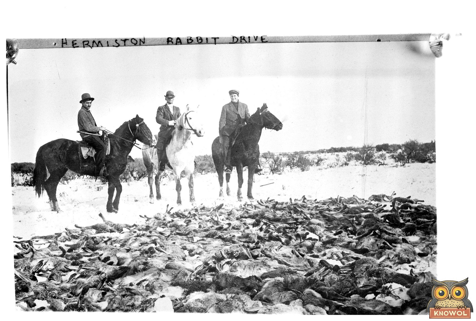 Historic 1913 Hermiston Community Rabbit Drive