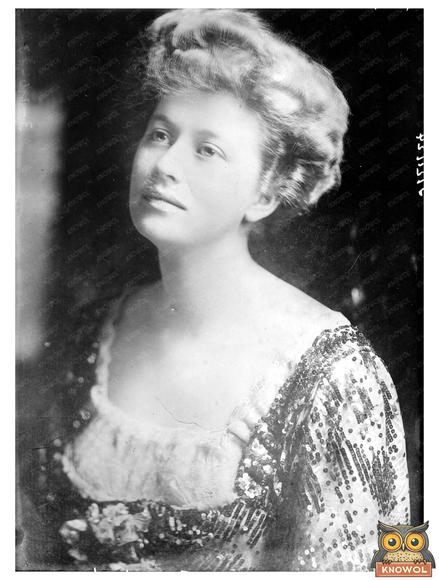 Elegant Portrait of Mrs. Joe Leiter, Early 1910s