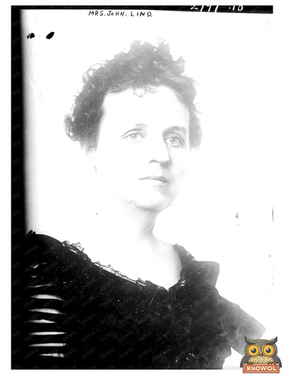 Elegant Portrait of a Minnesota Political Matron, 1910s