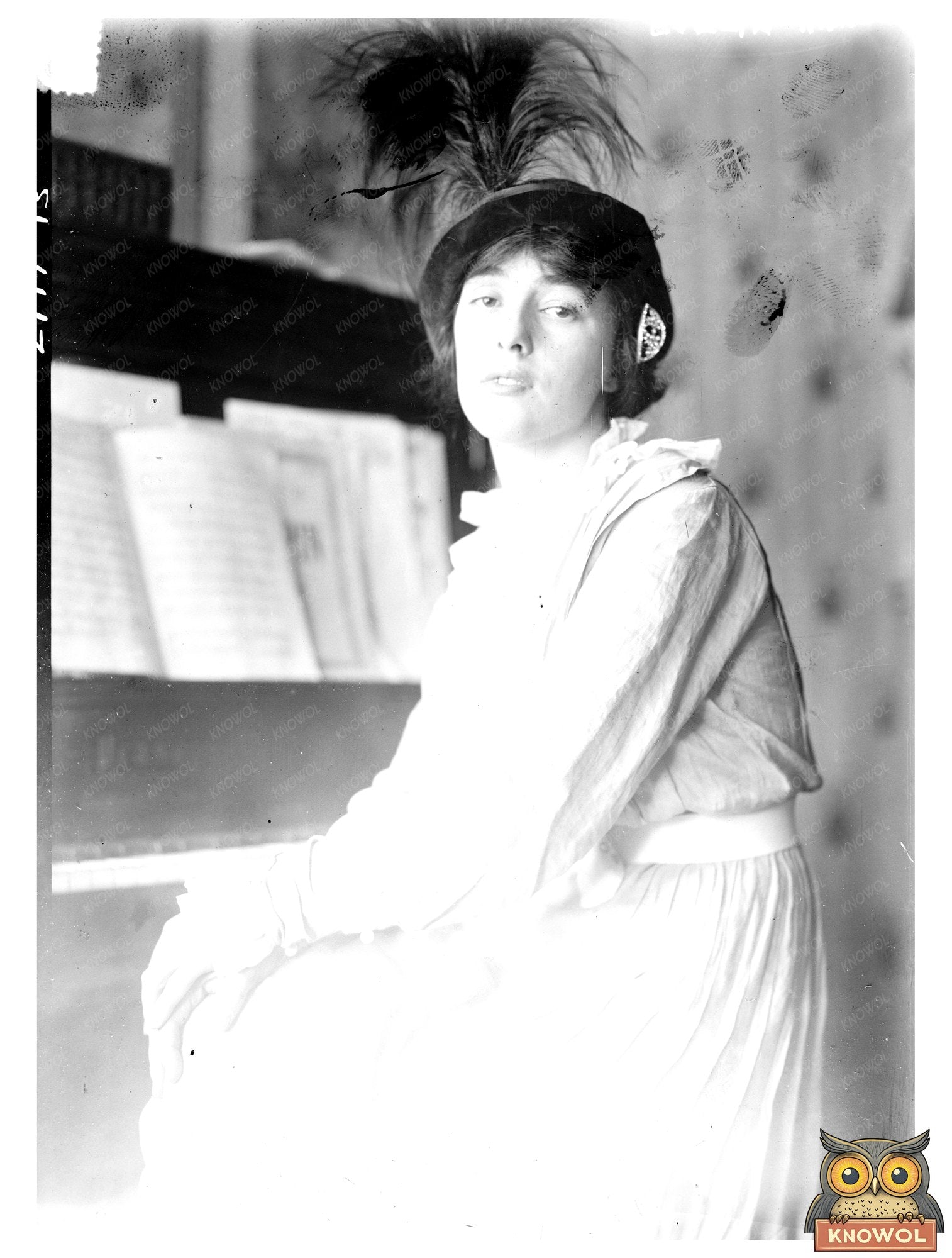 Evelyn Thaw: Socialite of the Early 20th Century