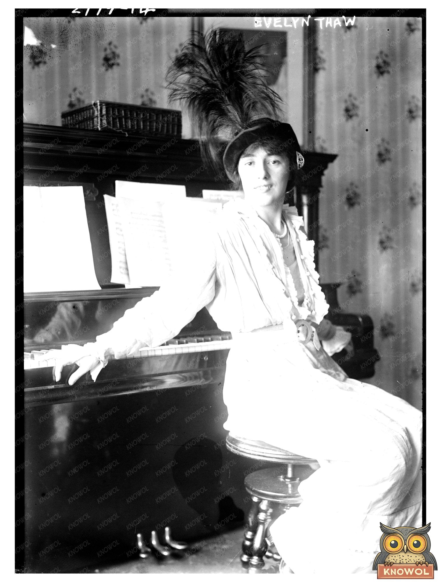 Elegant Portrait of Evelyn Thaw: 1913 Legal Drama