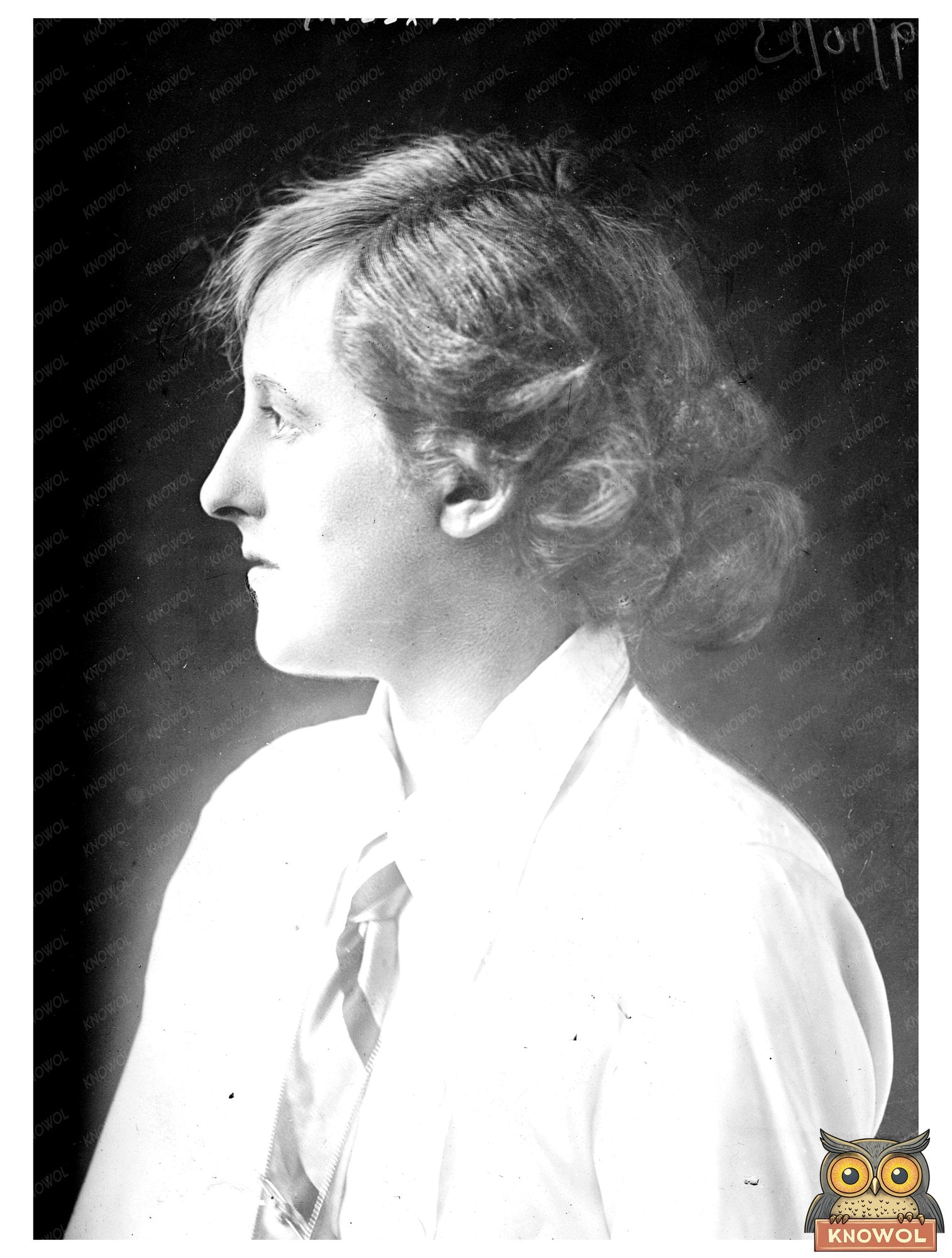 Elegant Portrait of Miss Mary Harrison, 1913