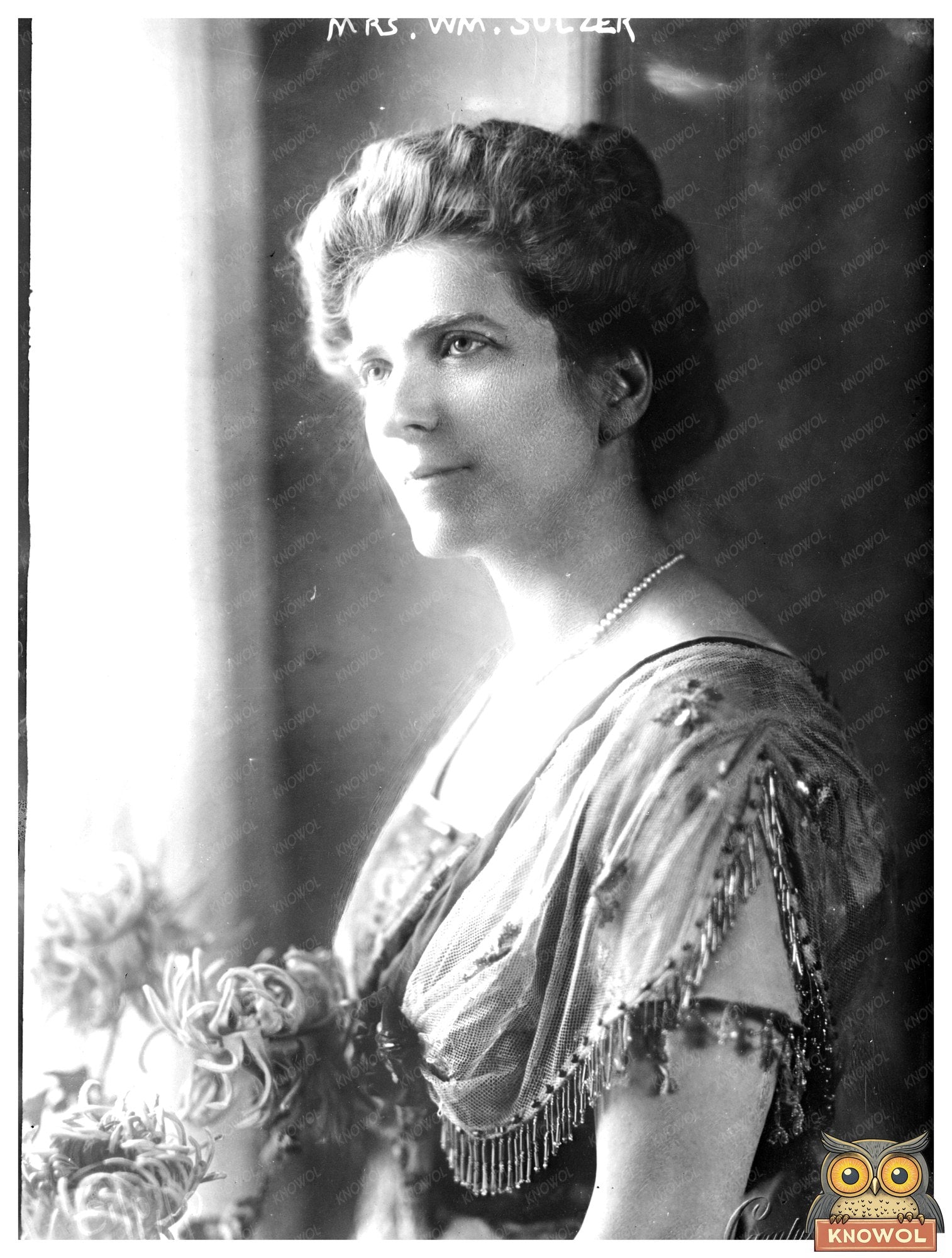 Elegant Portrait of New Yorks Governors Wife, 1910s