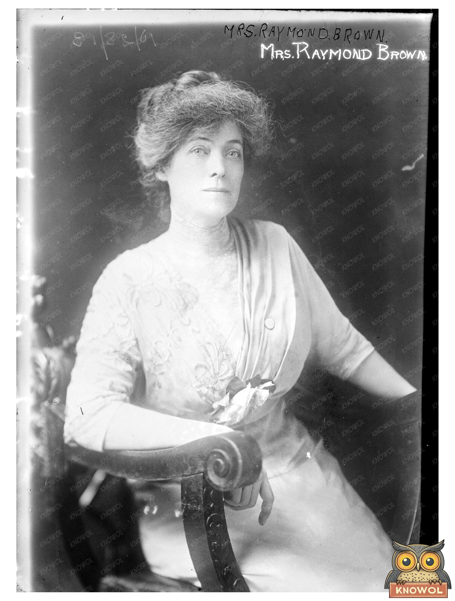 Elegant Portrait of Mrs. Raymond Brown, 1913