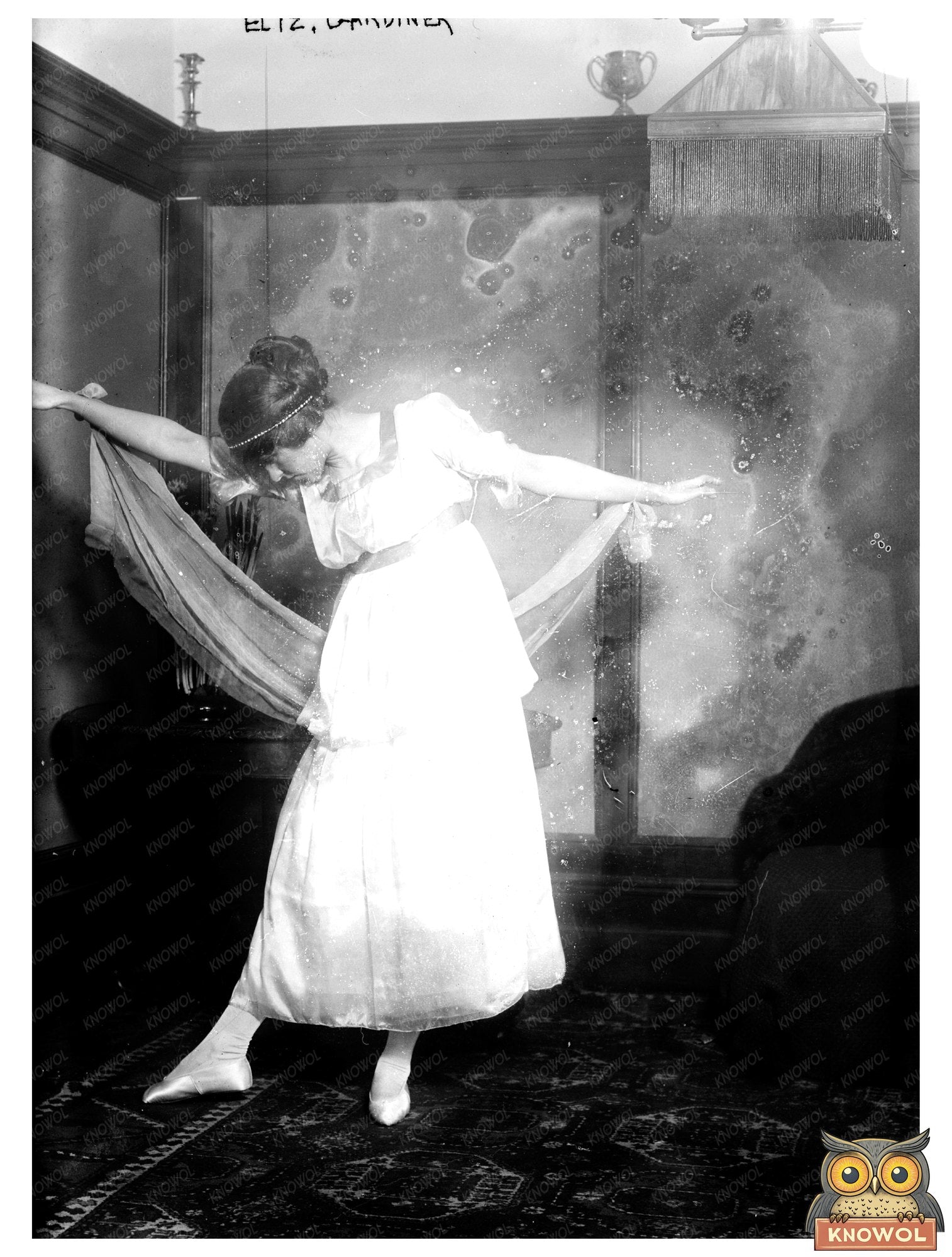 1914 Portrait of Prominent Social Reformer Elizabeth Gardine