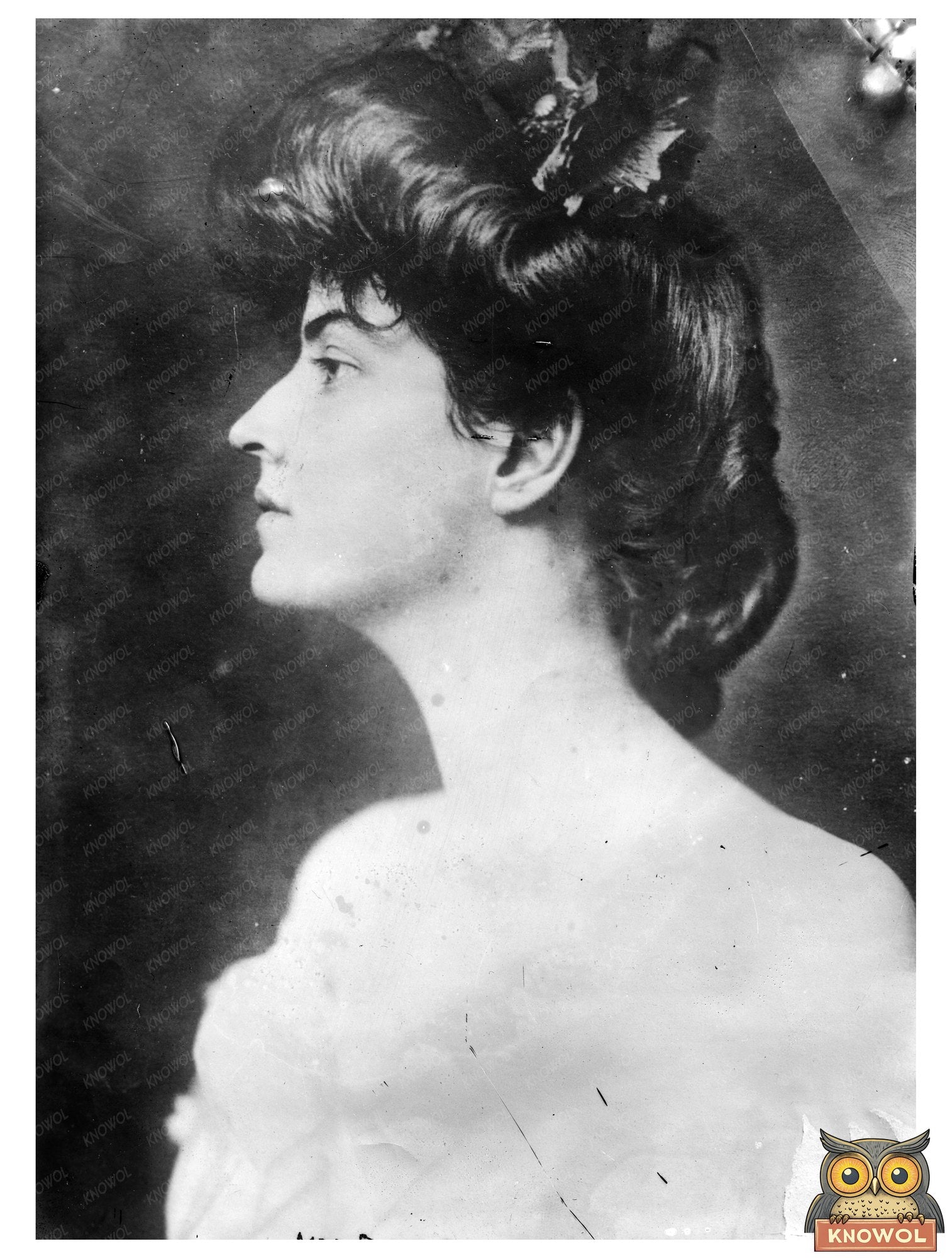 Elegance of Early 20th Century New York Society