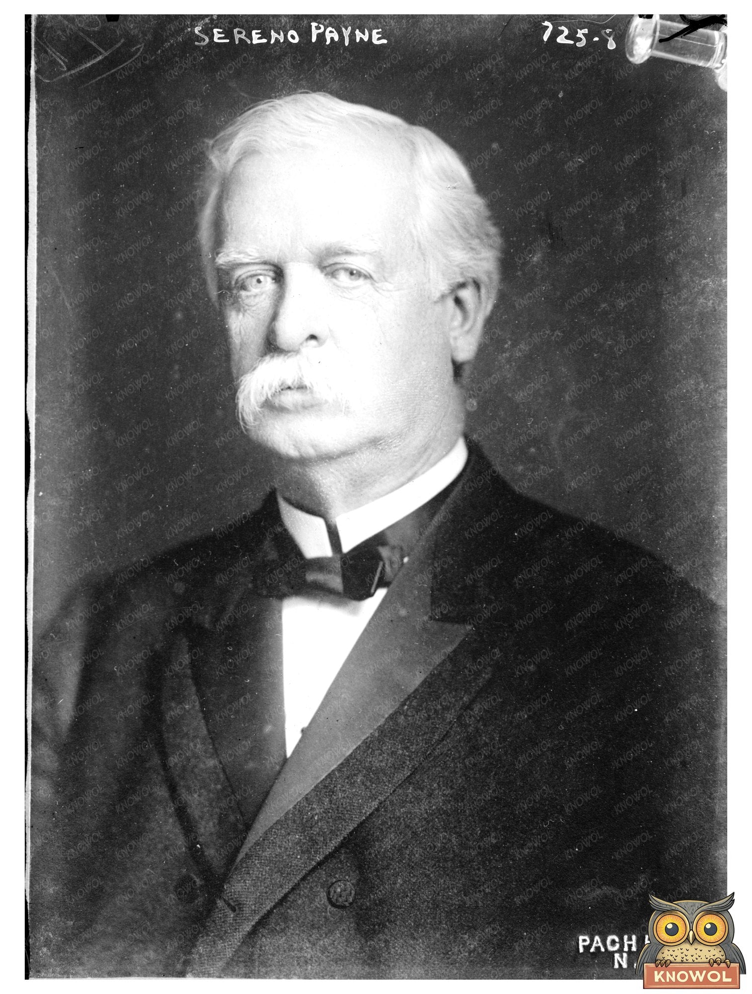 Influential New York Politician in Historical Portrait