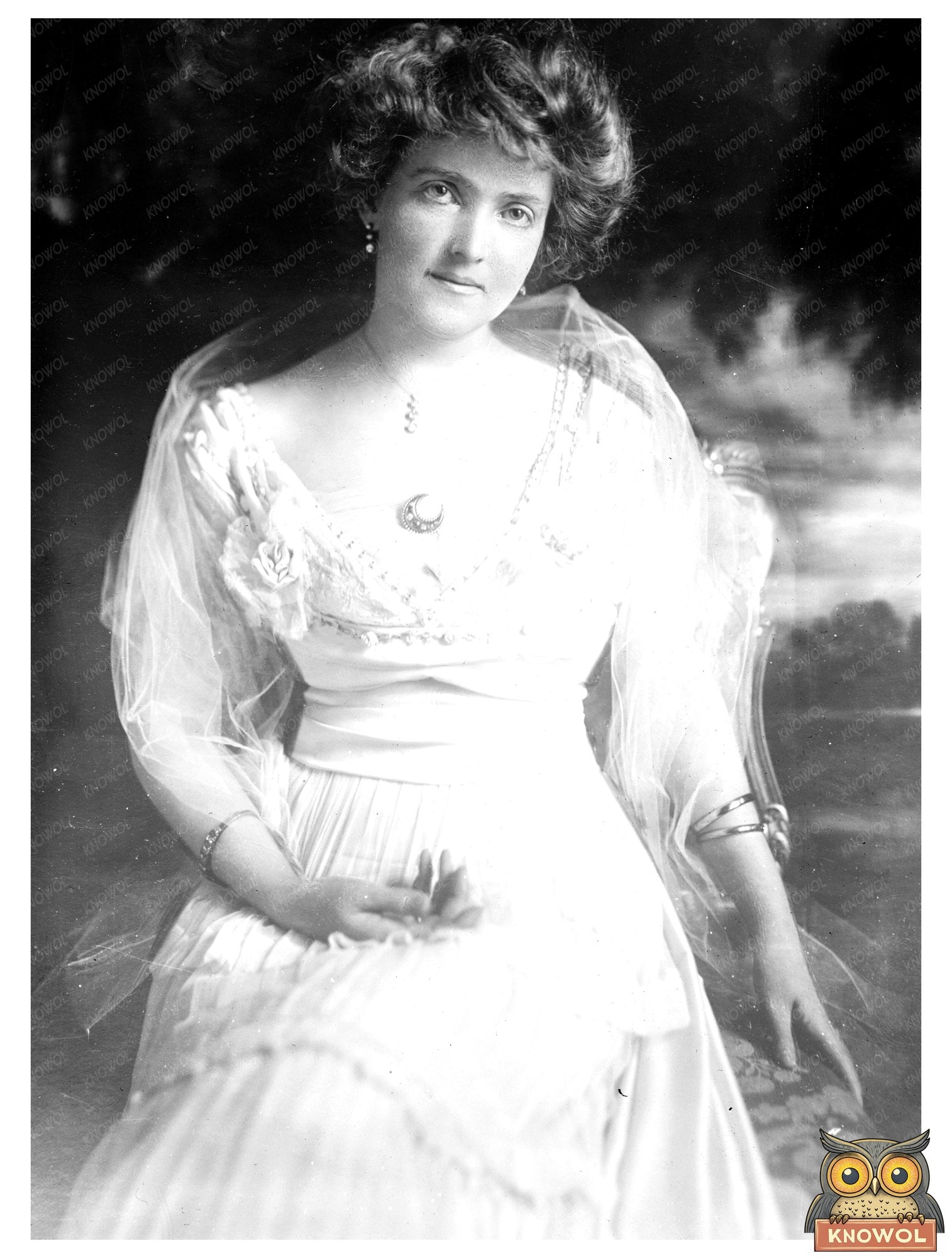 Graceful Portrait of Early 20th Century Society Matron