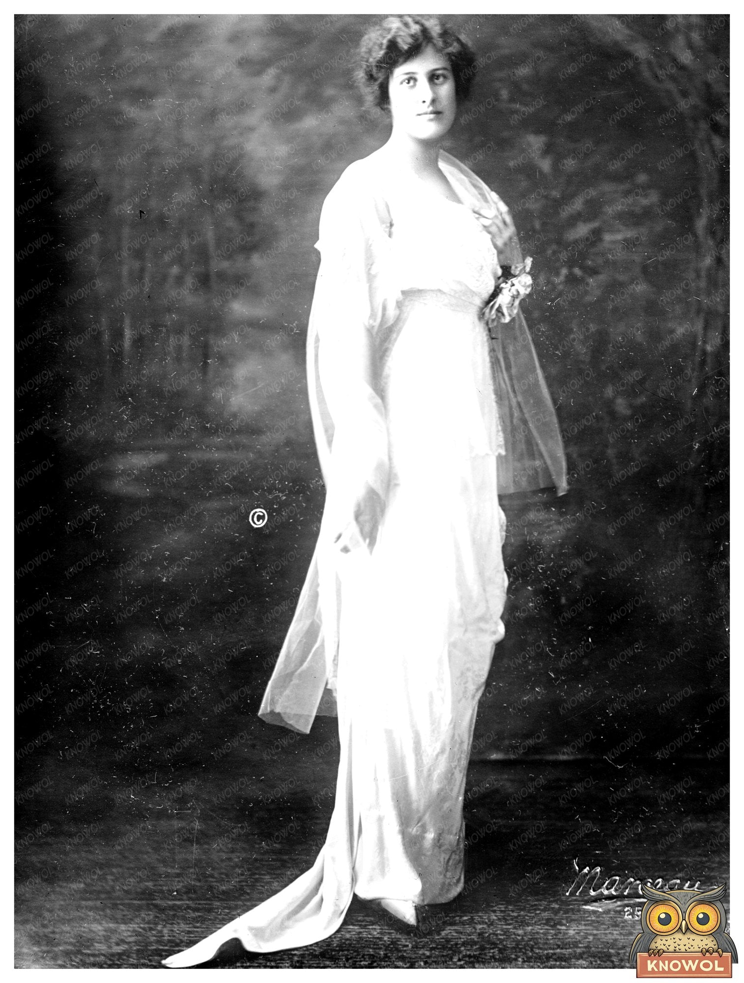 Historic (Marjorie A. Vreeland) Mrs. G.E. Von Gal Print, Vintage Art