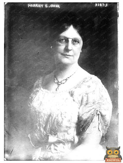 Historic Harriet E. Oonk Print, Vintage Art