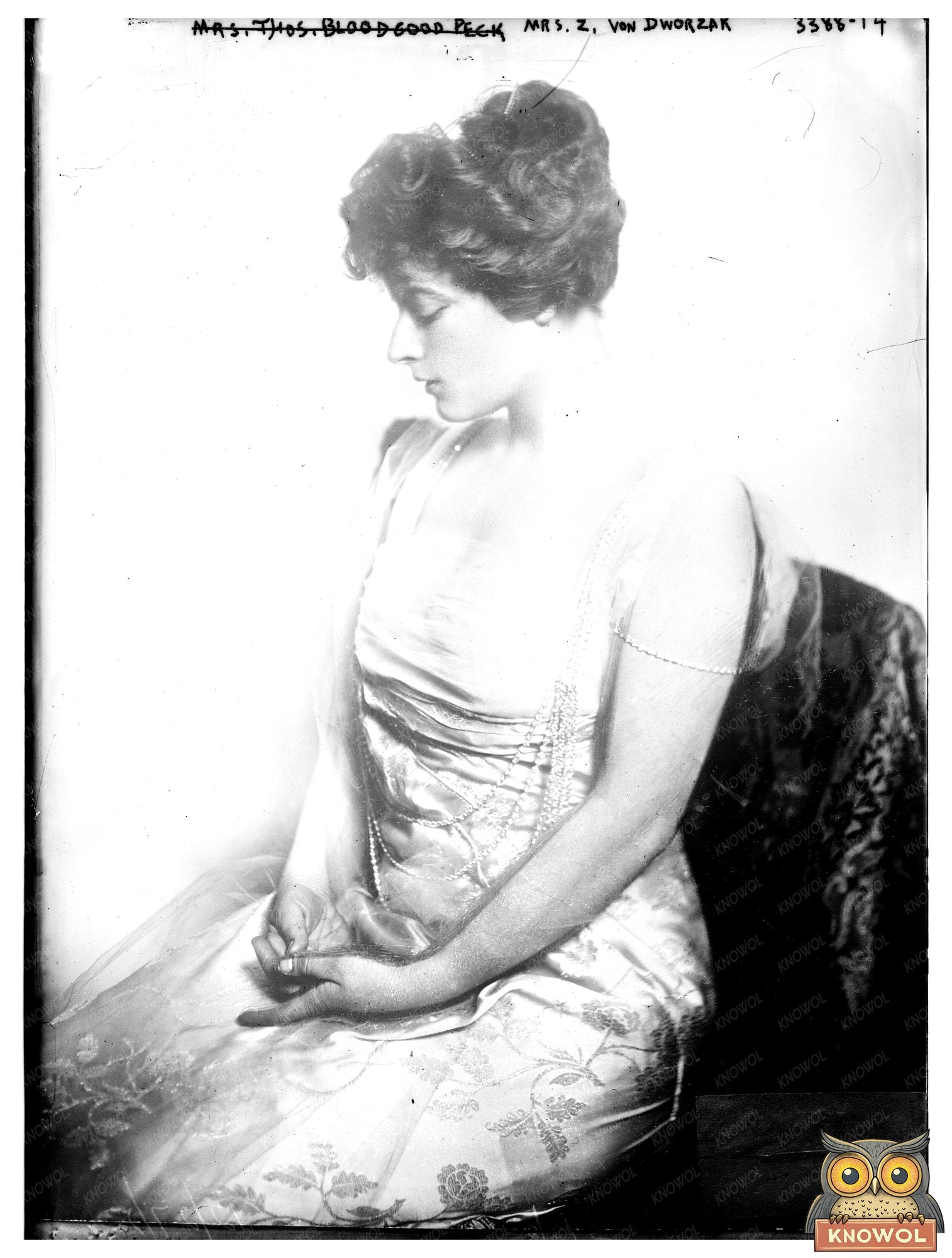 Historic Mrs. Z. von Dworzak Print, Vintage Art