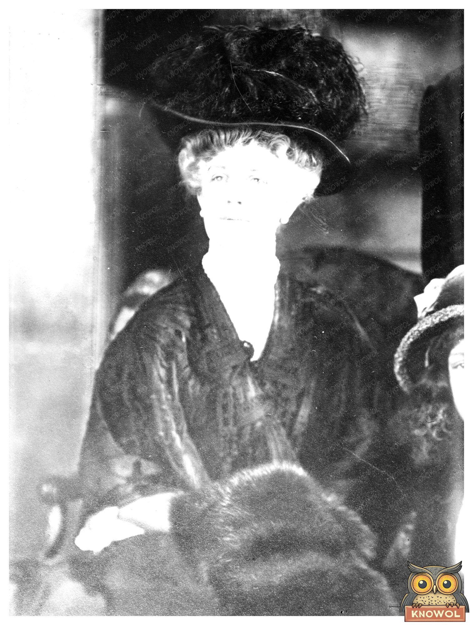 Historic Mrs. W.K. Vanderbilt Print, Vintage Art