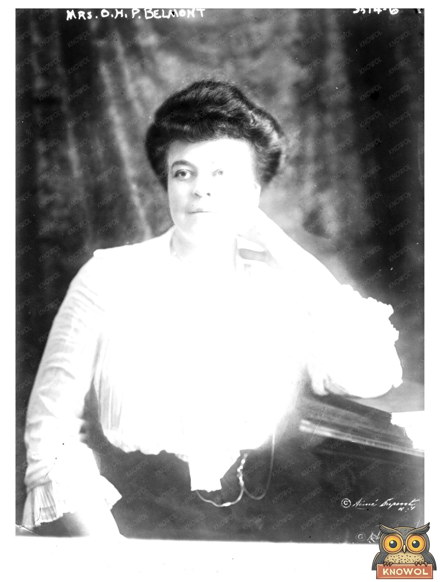 Historic Mrs. O.H.P. Belmont Print, Vintage Art