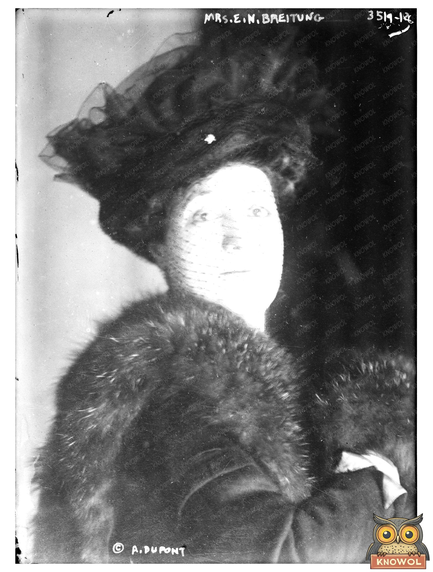 Historic Mrs. E.N. Breitung Print, Vintage Art