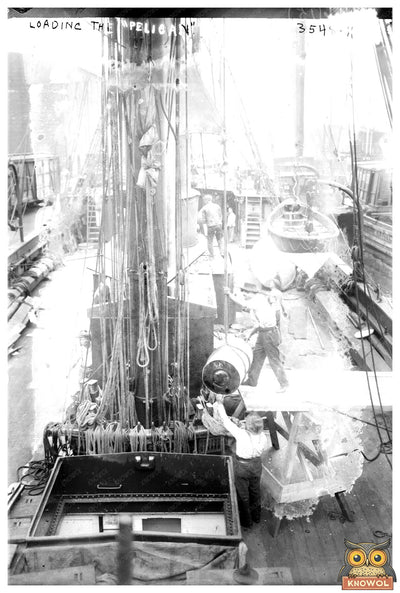 Harbor Scene: Loading the Pelican, Circa 1910-1915