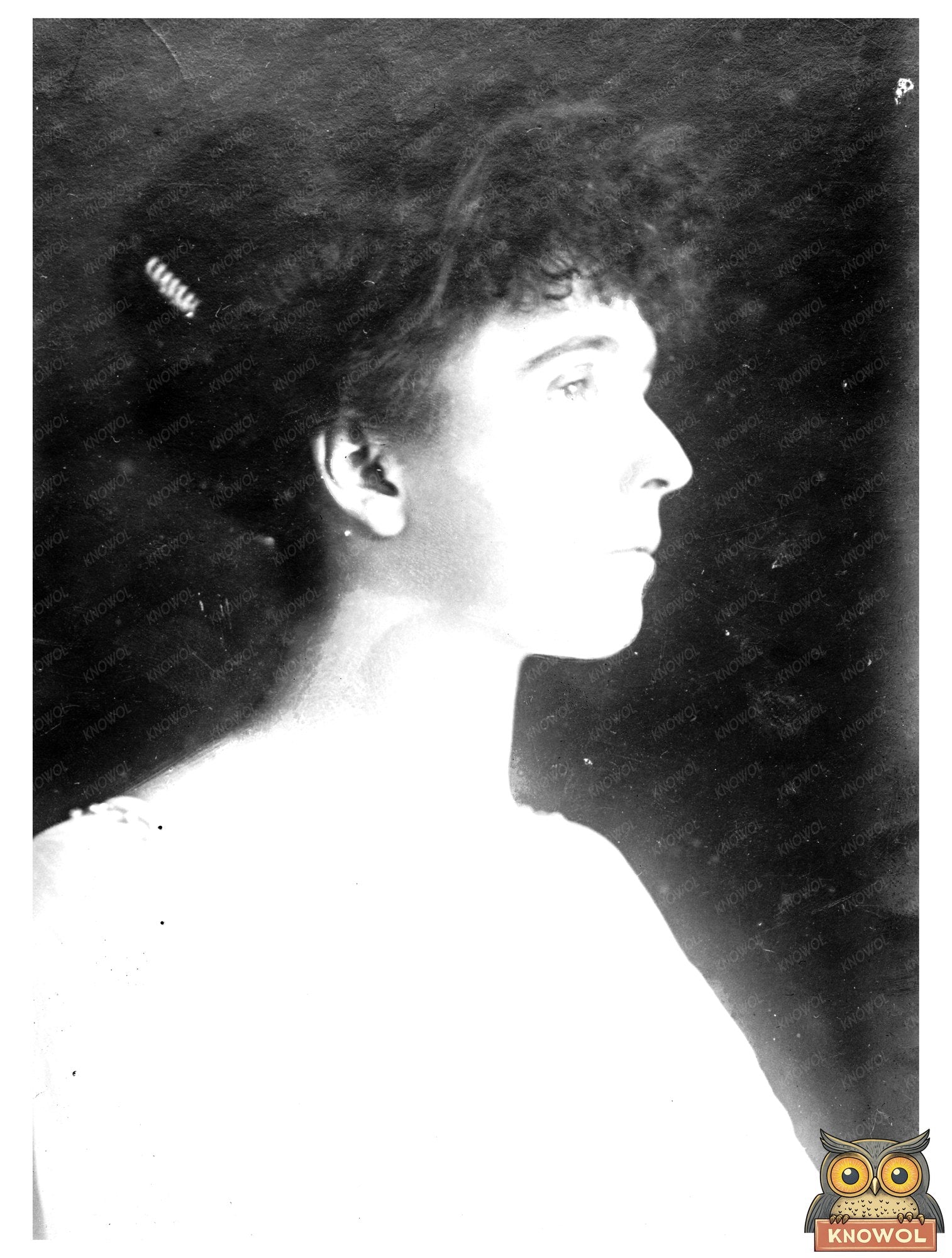 Historic Mrs. Lorillard Spencer Print, Vintage Art
