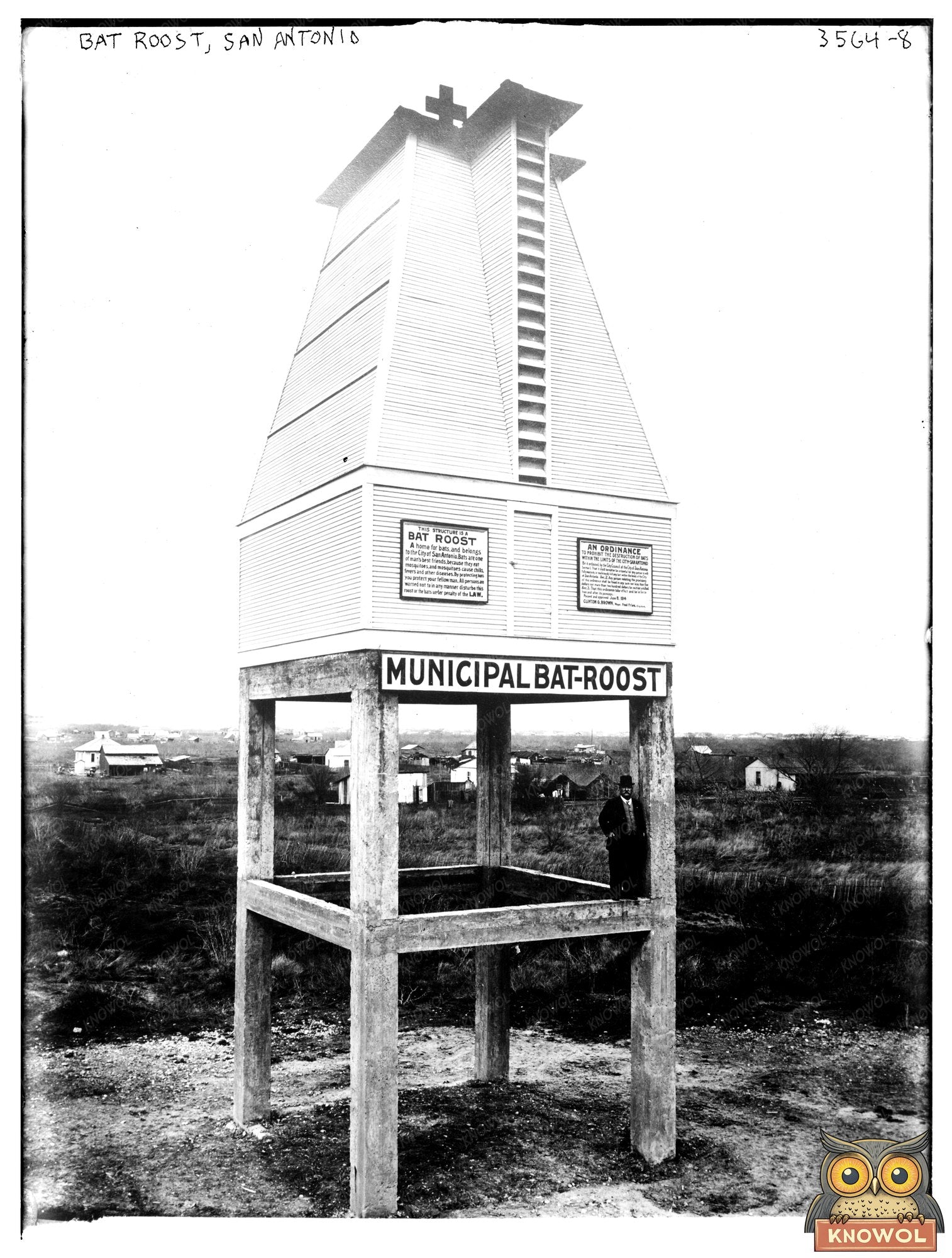 Historic Bat Roost, San Antonio Print, Vintage Art