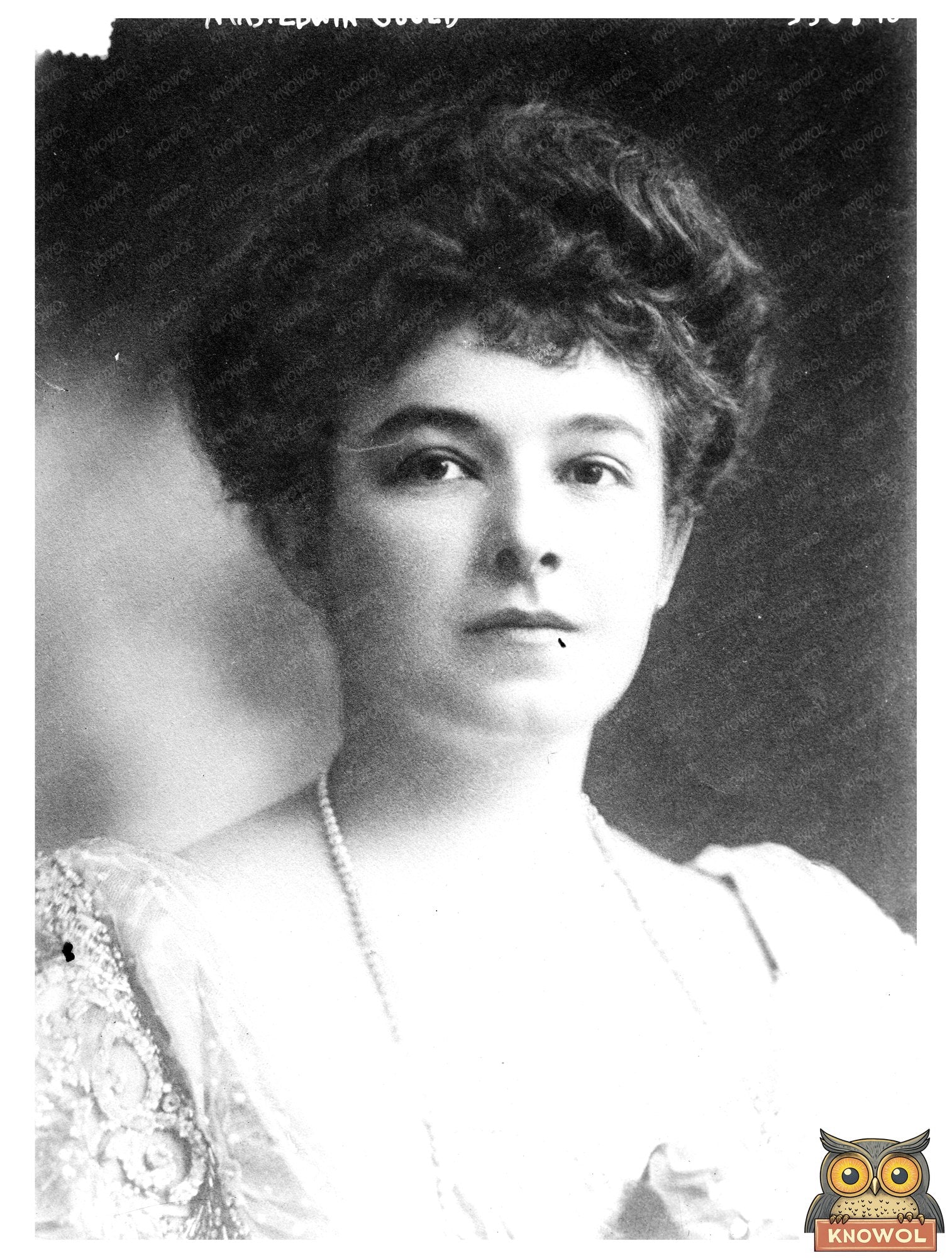 Historic Mrs. Edwin Gould Print, Vintage Art