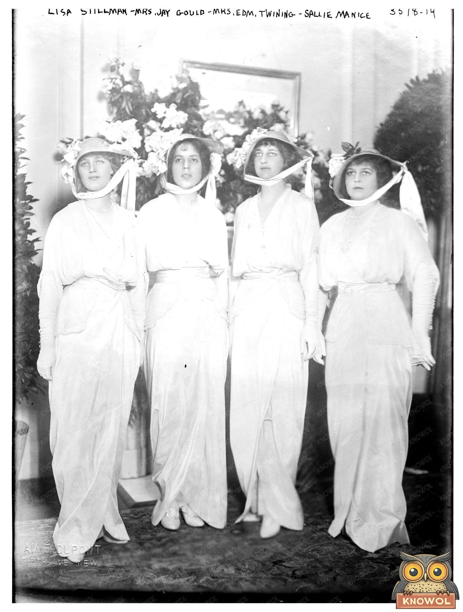 Historic Lisa Stillman -- Mrs. Jay Gould -- Mrs. Edm. Twining -- Sallie Manice Print, Vintage Art