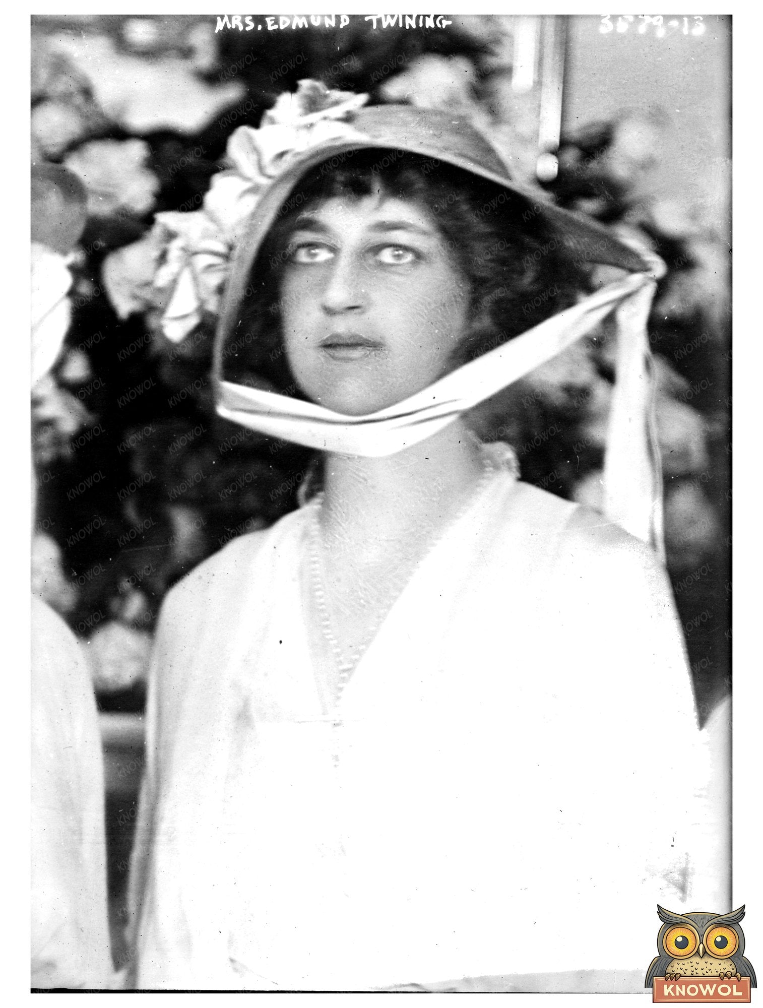 Historic Mrs. Edmund Twining Print, Vintage Art