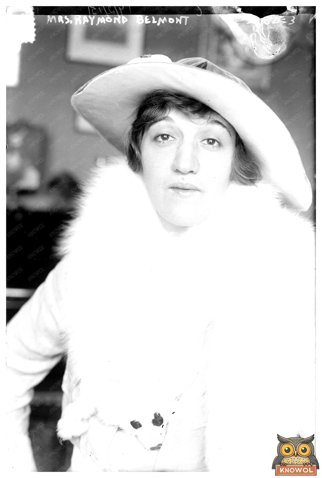 Elegant Mrs. Raymond Belmont, Early 1910s Portrait